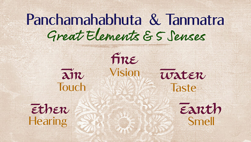 The Five Elements in Ayurveda Unveiled 